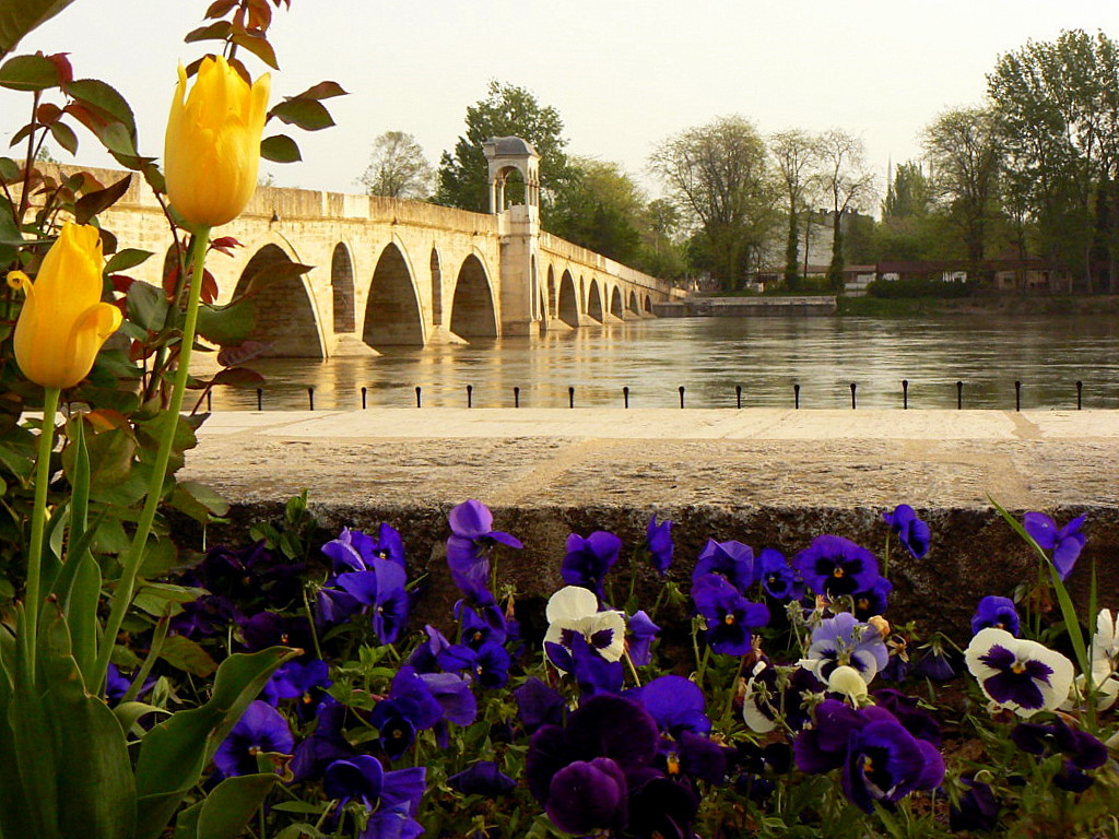Edirne